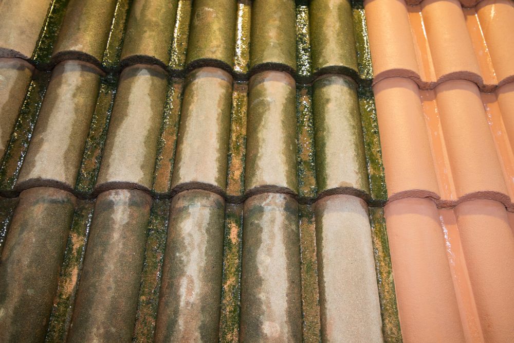 Oud vieze dakpannen laten inspecteren in Doorn